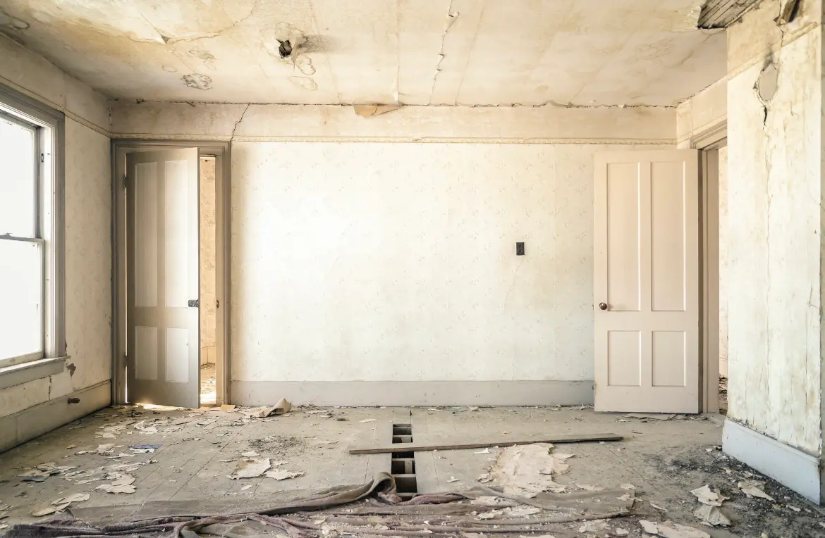 Waste disposal crew managing a cleanout project in Roscoe